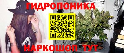 ALPHA PVP Коммунар