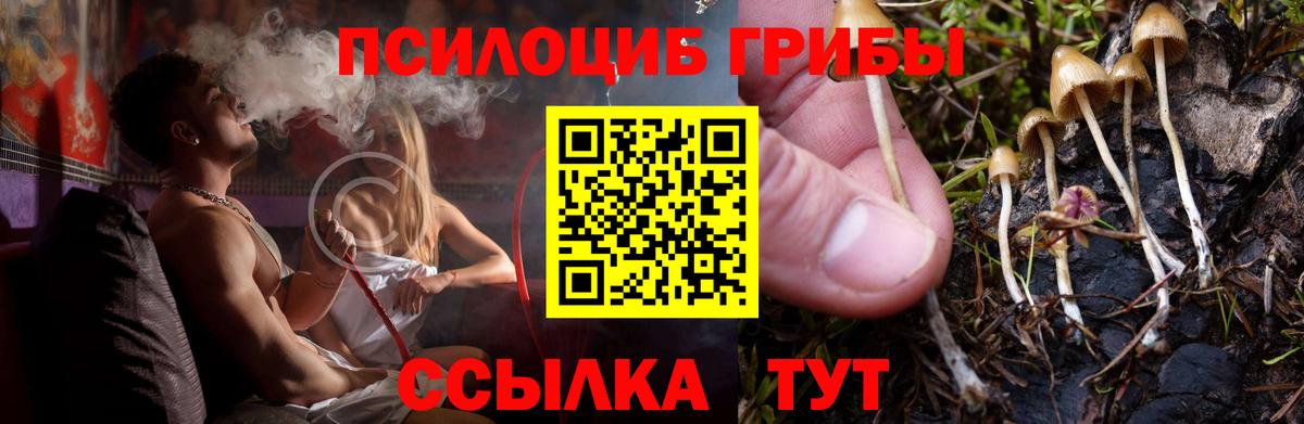 Галлюциногенные грибы мицелий Ярославль